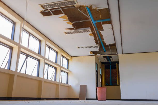 Best Water damage restoration near me  in St Paul, MO