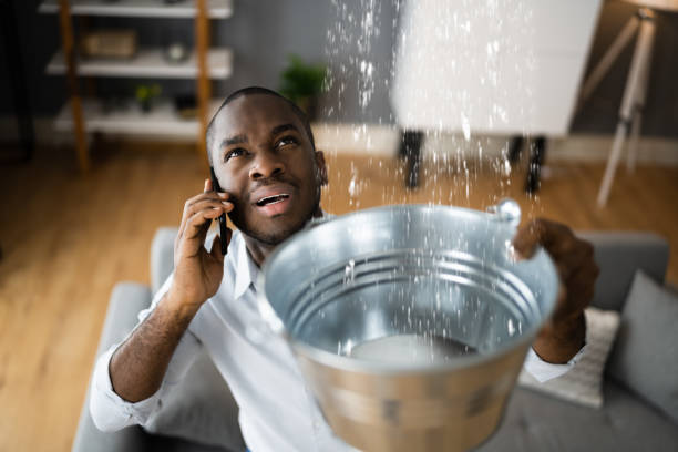 Best Professional water damage repair  in St Paul, MO