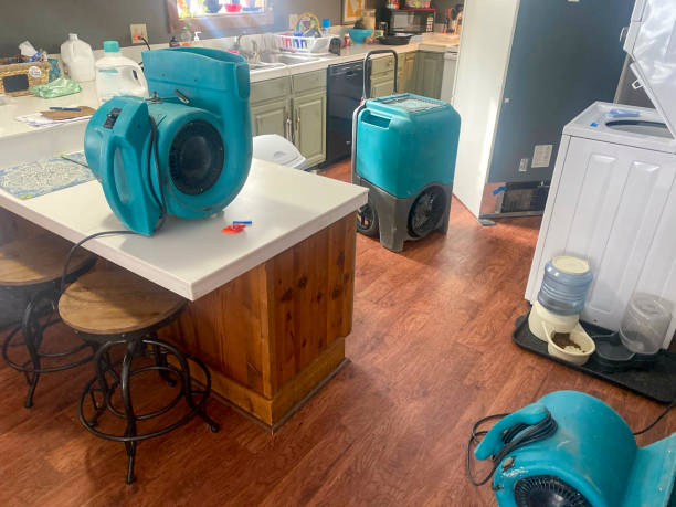 Best Mold removal after water damage  in St Paul, MO