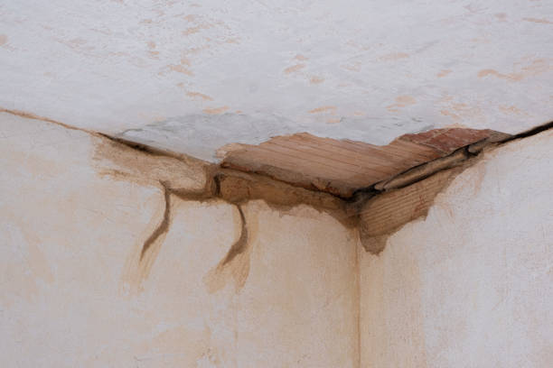Best Ceiling water damage repair  in St Paul, MO