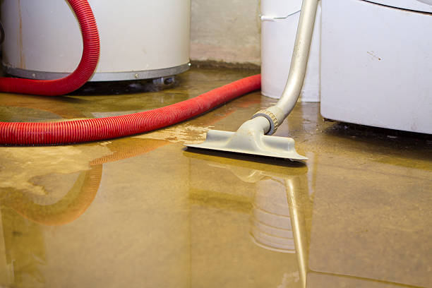 Best 24/7 water damage repair  in St Paul, MO