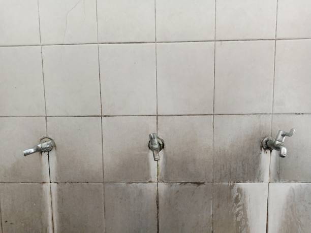 Best Water damage restoration process  in St Paul, MO