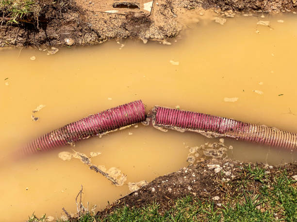 Best Residential water damage restoration  in St Paul, MO