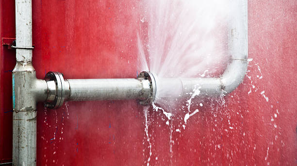 Best Flood damage cleanup  in St Paul, MO